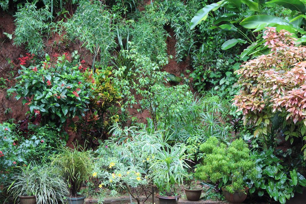 Ferienwohnung Anniewatte House Kandy Exterior foto